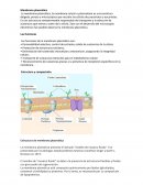 Bioquimica. Membrana plasmática
