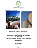 Plan de inspeccion GeosMidGard