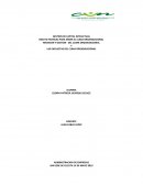 TECNICAS PARA MEDIR EL CLIMA ORGANIZACIONAL