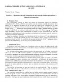 LABORATORIO DE QUÍMICA ORGÁNICA GENERAL II