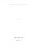 Ciberdependencia: lo que muchos tienen pero pocos conocen