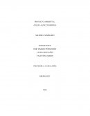 PROYECTO AMBIENTAL. (COLILLAS DE CIGARRILO)