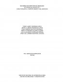 Proyecto “BISUTERIA EN MATERIAL RECICLABLE”