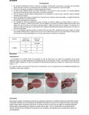 Practica: Identificación de coliformes totales por técnica de número más probable