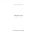 Establecer estrategias logísticas