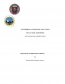 SISTEMA DE COMBUSTION INTERNO