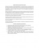 Sesión de Consejo Técnico Escolar