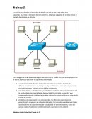 Mapa Mental Herramientas de Investigacion Subred