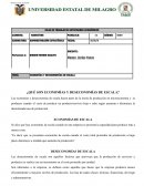 TEMA: ECONOMÍAS Y DESECONOMÍAS DE ESCALA