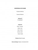 Informe N°1 “El Laboratorio”