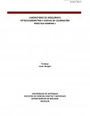 LABORATORIO DE BIOQUÍMICA FOTOCOLORIMETRÍA Y CURVAS DE CALIBRACIÓN