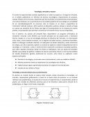 Tecnología, mercados y excesos