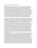 Texto argumentativo: Uso de pieles de animales