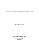 Ejercicio práctico de la trazabilidad del aguacate Hass