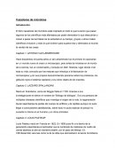 Resumen libro cazadores de microbios