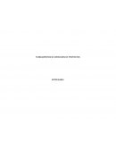 Distintos enfoques Project Management