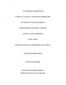 EVIDENCIA 2: GRÁFICA “SISTEMAS DE INFORMACIÓN”