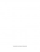 EVOLUCIÓN DE LOS SISTEMAS DE PRODUCCIÓN