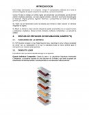 Caso empresa CAMPO FE