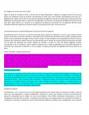 Consumo de Carne