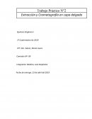 Trabajo Práctico N°2 Extracción y Cromatografía en capa delgada
