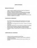 MATRIZ DE RIESGOS RIESGOS POTENCIALES
