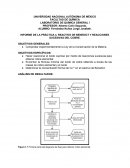 INFORME DE LA PRÁCTICA 4. REACTIVO DE BENEDICT Y REACCIONES SUCESIVAS DEL COBRE