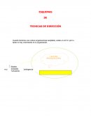 ESQUEMAS DE TECNICAS DE DIRECCIÓN