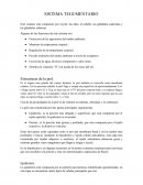 Sistema tegumentario