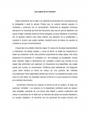 Las capas de un humano