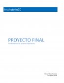 Proyecto final Sistemas Operatios