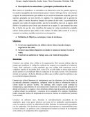 Desarrollo Pensamiento Administrativo - Caso Striptease