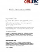 Tarea 5: Análisis tipos de responsabilidades