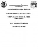 TAREA ANALISIS SOBRE EL VIDEO: “PARADIGMAS”
