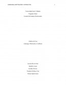 Análisis de Caso Liderazgo, Motivación y Conflicto