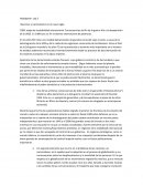 Naciones y nacionalismo en el nuevo siglo