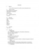 Administración, Organización y Procedimientos Administrativos