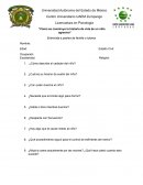 Entrevista agresividad de un niño