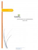 Taller de items auditoria de sistemas