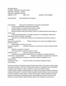 INFORME MEDIO. CAPACIDADES INDICADORES DE AVANCES