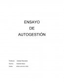 Ensayo de Autogestión
