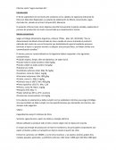 Informe visita “Jugos Australes SA”