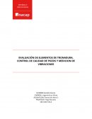 EVALUACIÓN DE ELEMENTOS DE TRONADURA, CONTROL DE CALIDAD DE POZOS Y MEDICION DE VIBRACIONES