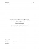Evaluación de los Enfoques Teóricos sobre Conflicto Intergrupal