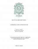 SOLUBILIDAD Y CLASIFICACIÓN POR SOLVENTES