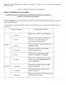 CLASES Y FUNCIONES DE LAS PALABRAS