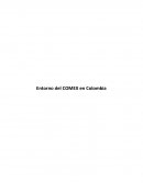 Entorno del COMEX en Colombia INTRODUCCION