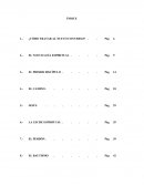 ﻿El nuevo Creyente