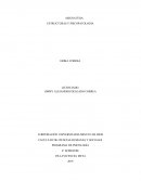 ESTRUCTURAS Y PSICOPATOLOGIA.Trabajo teórico-practico