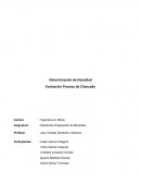 Determinación de Densidad Evaluación Proceso de Chancado